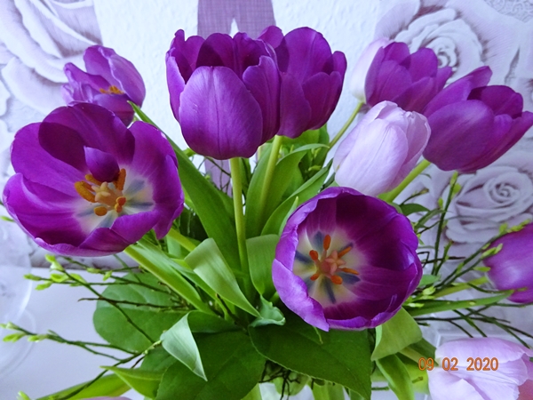 В цветочных магазинах-Рай, будто бы-для опыта