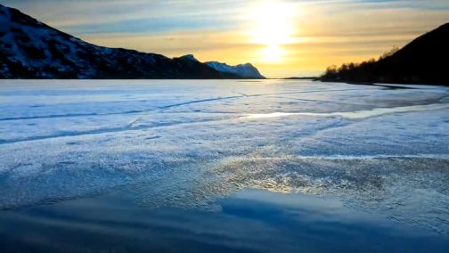 В белоснежных просторах