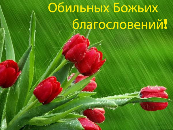 Подруге. С Днем рожденья тебя поздравляю