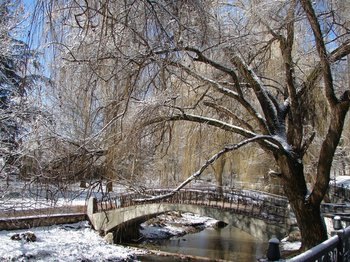 Февральское утро