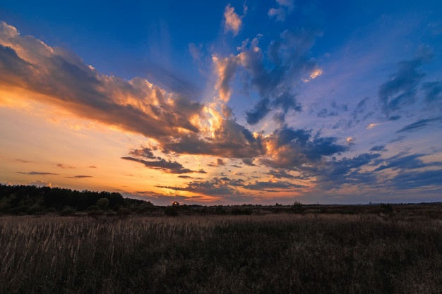 В синем поле вечернего неба