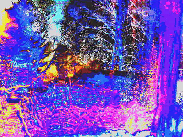 Разорвана страданьем жизнь на части