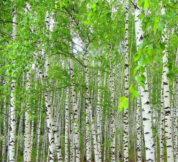 Кто твой Господь? - 6