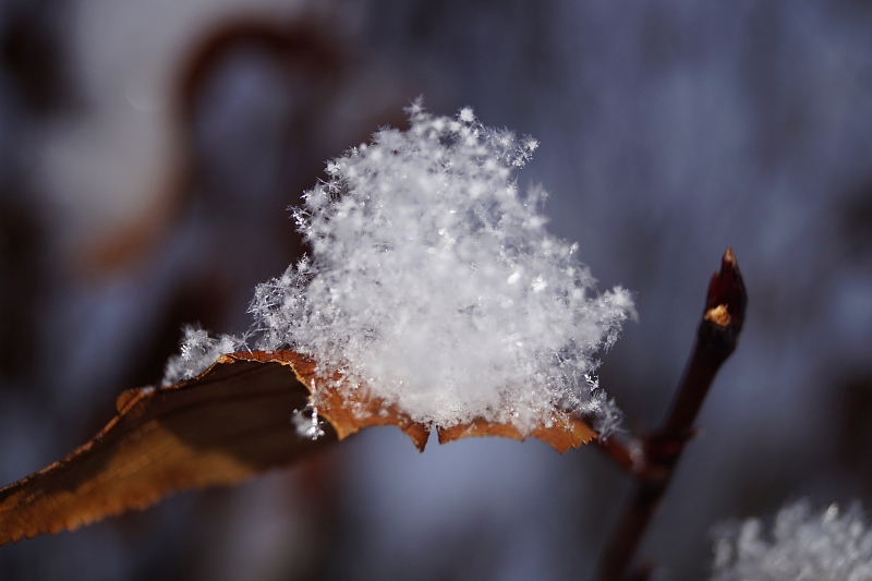 Не февраль, а февралек