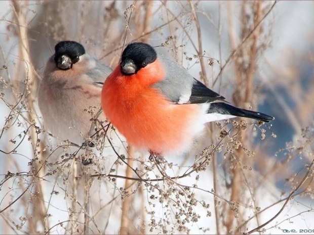 Наш февраль пошел к концу