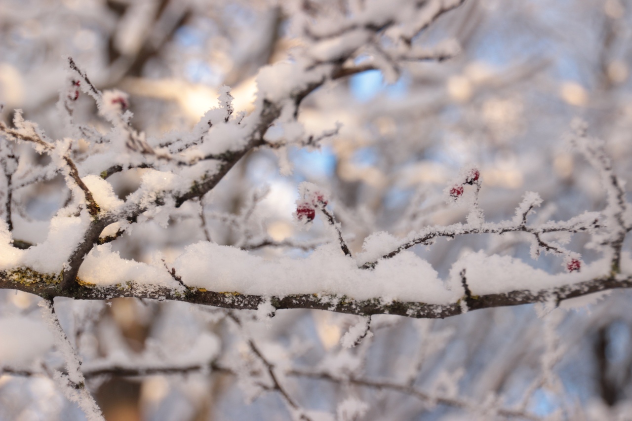 Завтра будет февраль