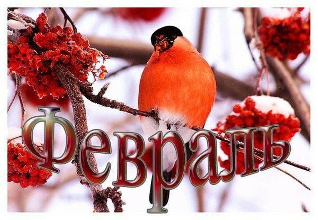 картинки прощай январь привет февраль веранды