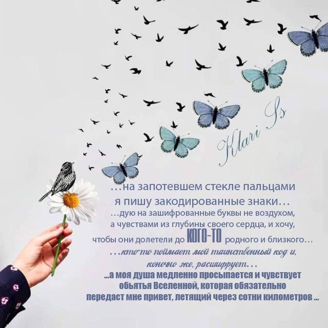 коды, шифры, знаки