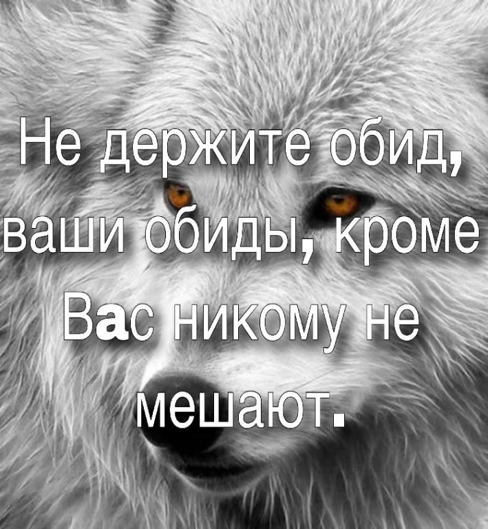 Не держи зла держи дистанцию картинки