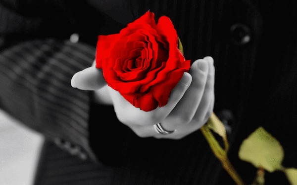 Букет теплоты