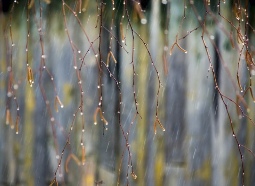 Плакал дождями февраль