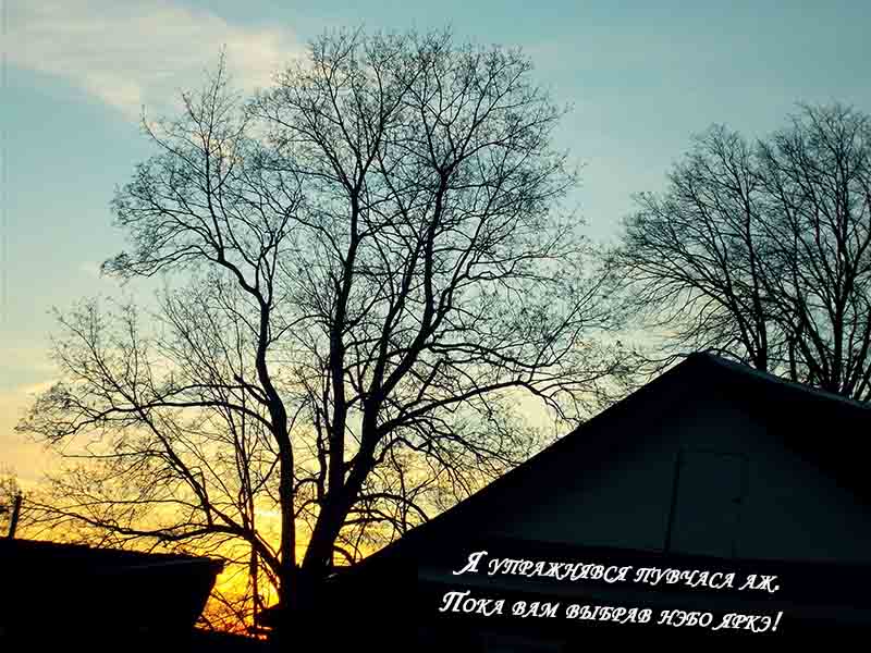 А в таварыша гынды во щ