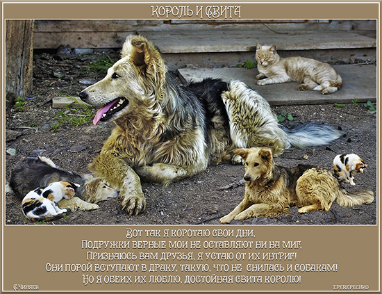 Король и свита