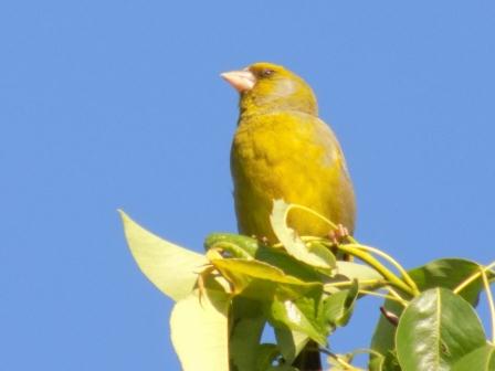 Была весна... был май...