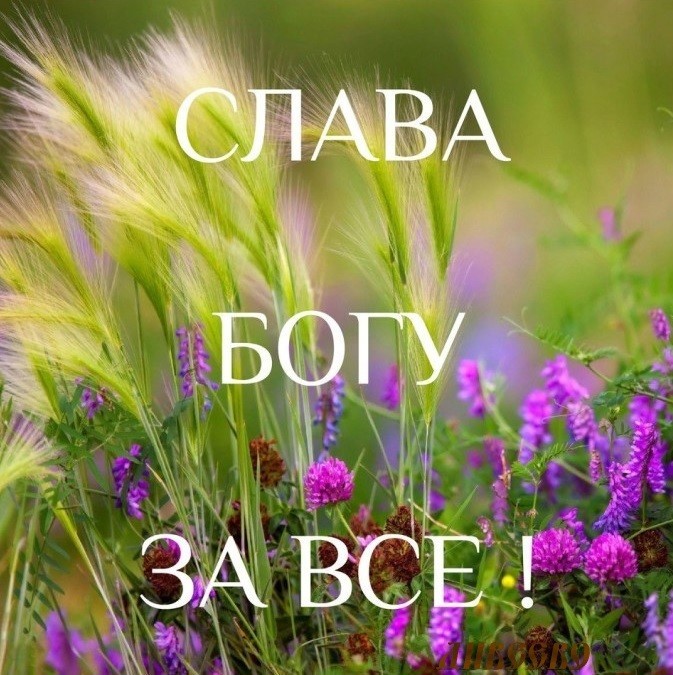 Не видал я хорошего в жизни
