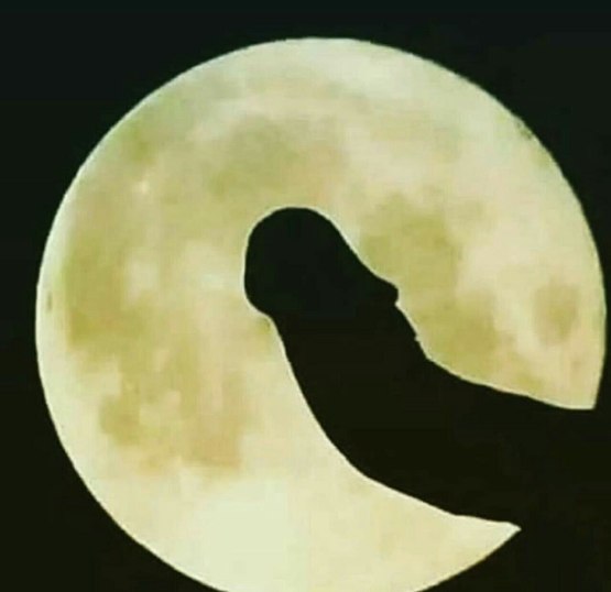 Кожаный месяц