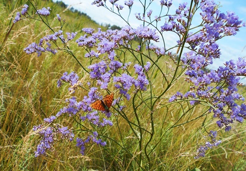 Судьба нам всё же улыбнётся?
