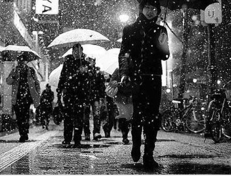 Царство без любви 1988