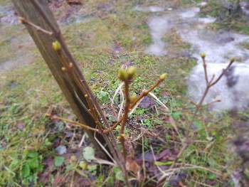 Эра межсезонья