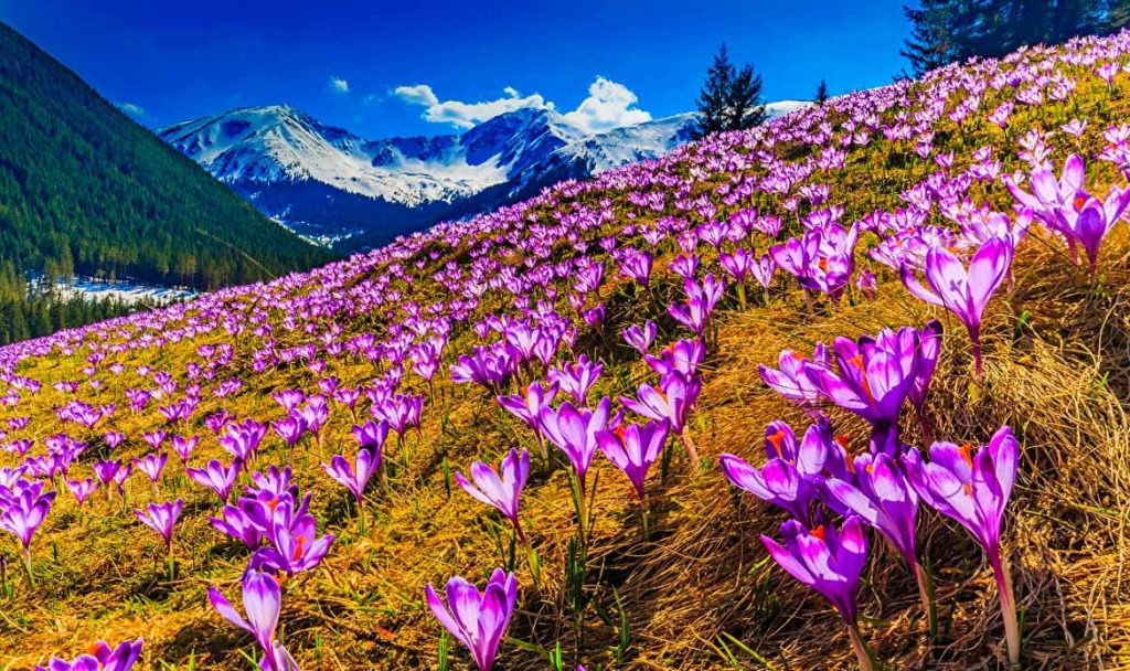 Старик и горы часть 6