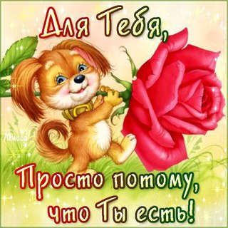 Бумеранг