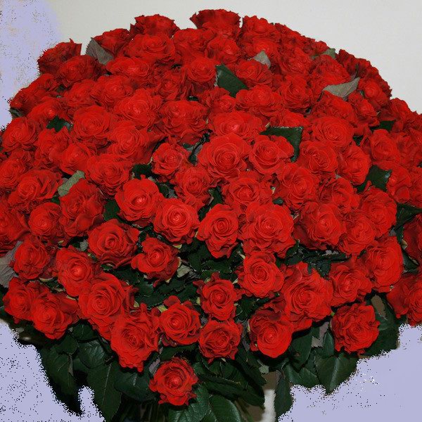 С днём рождения, РА!