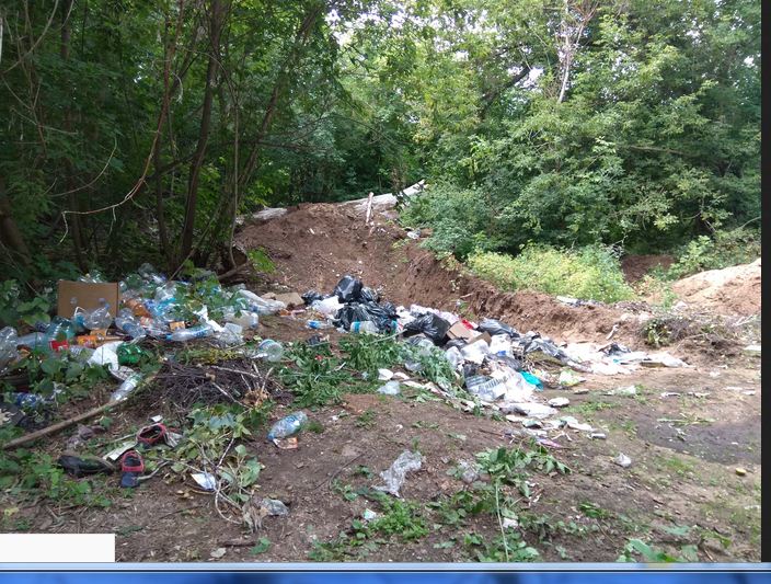 Плач грибника