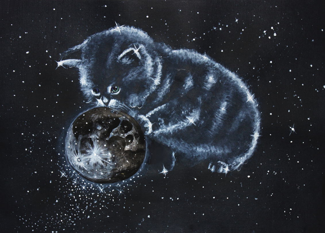 Котик на Луне