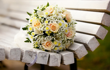 Луиза, помощницей будь ты Володе... На брак