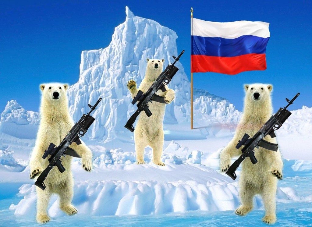 Вооруженный медведь