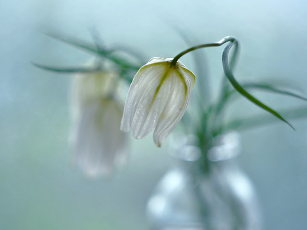 Надеюсь, что вы не скучали