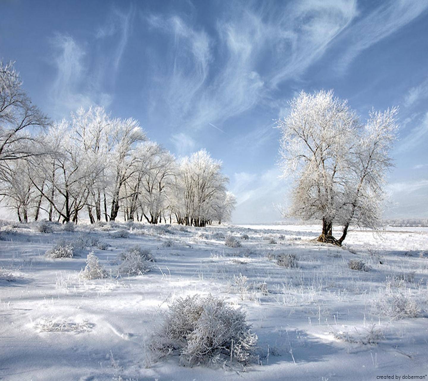 Февраль месяц природа