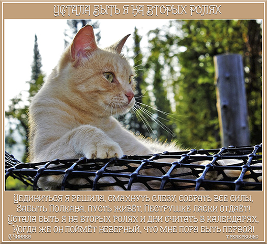 Устала быть я на вторых ролях