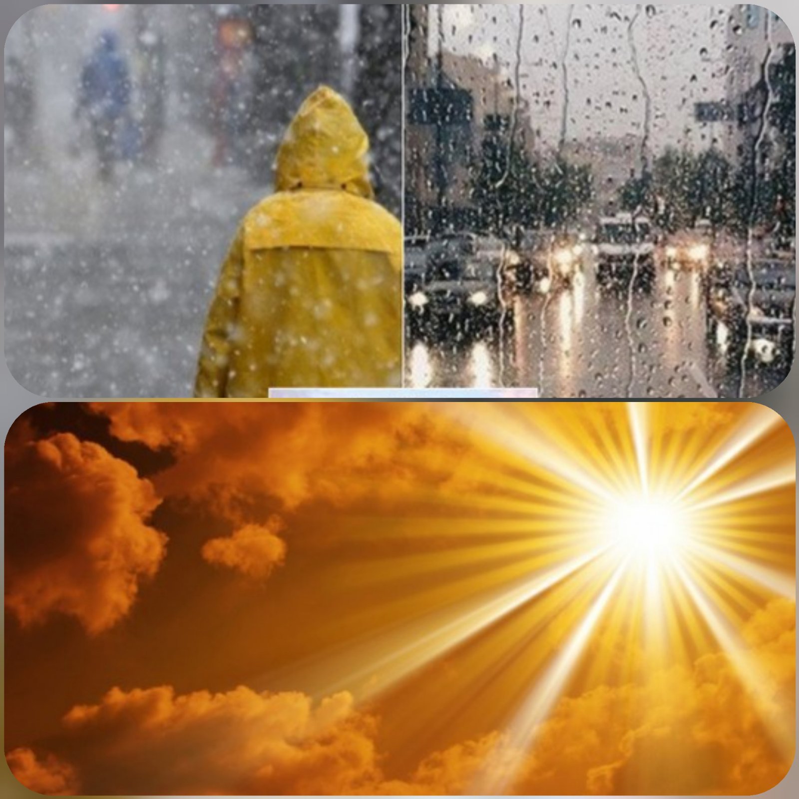 Где солнечная погода. Дождь и солнце. Снег, дождь, солнце. Дождь или солнце. Дождь и солнце в городе.