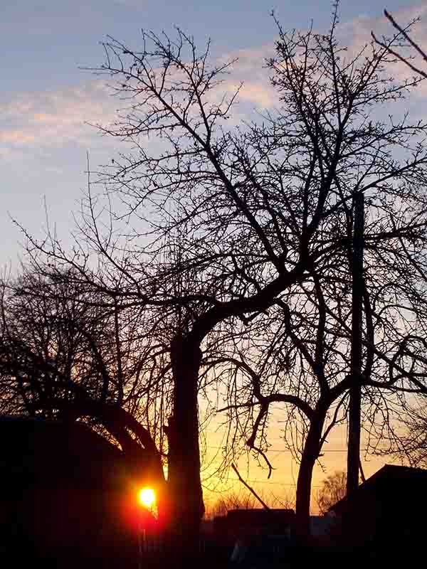 Тыхо воды, ах, котяця вдаль!..