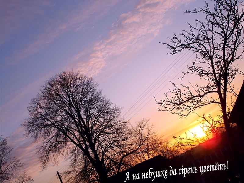 В нас тут есця шэ й молё во з дойкы