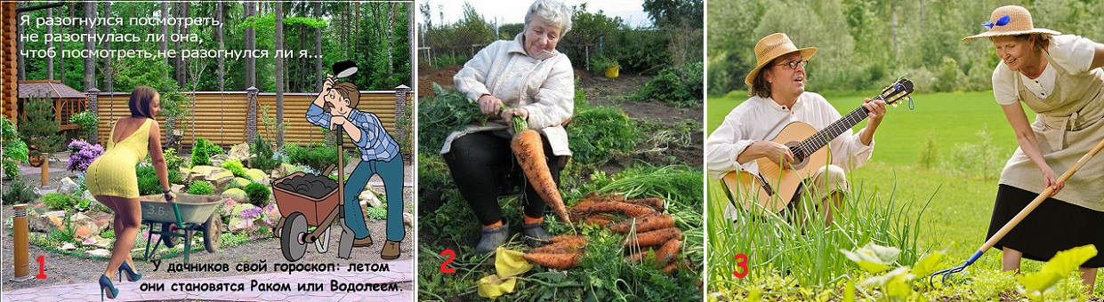 Дачный сезон