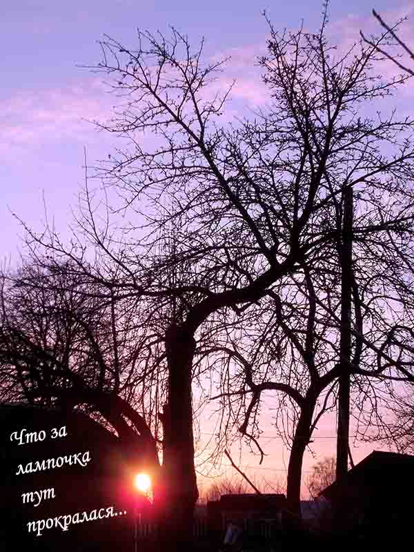 Усё в полiтiков возмоvно!