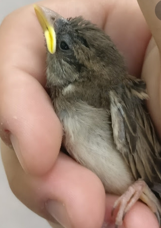 всё во мне вверх дном...