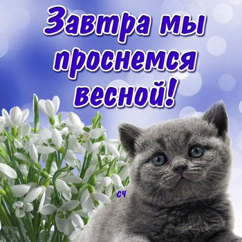 Завтра в полночь к нам войдёт весна
