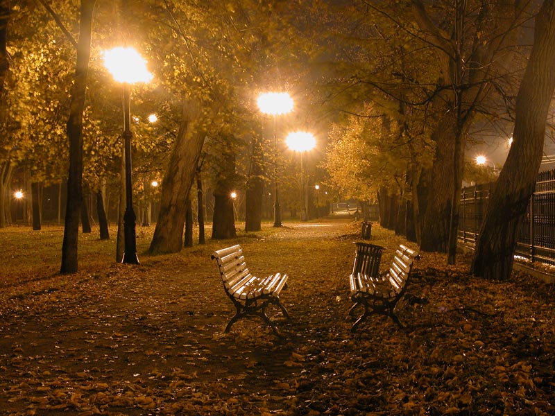 Тихий вечер какое предложение. Осенний парк вечером. Осень вечер парк. Вечерний парк осень. Парк осенью вечером.