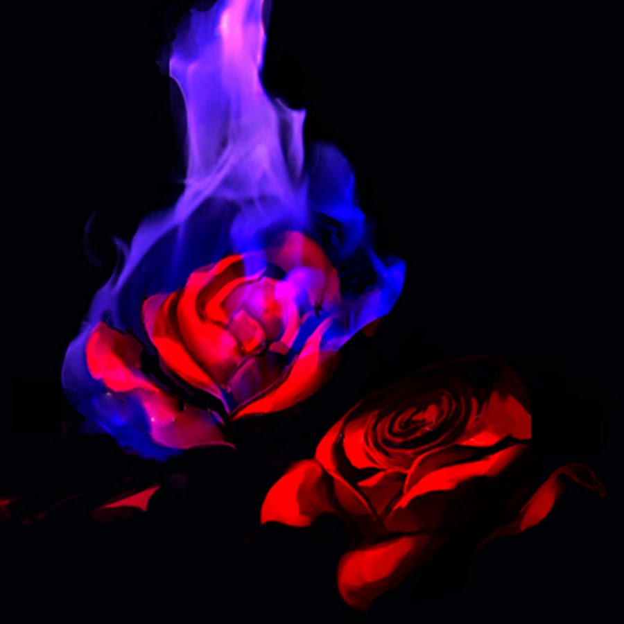 Смотри, пока не станет дурно (Не Романтик) / Стихи.ру