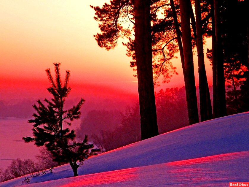 День грядущий