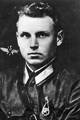 Там летят журавли... посв. А. Горовцу-Герою ВОв