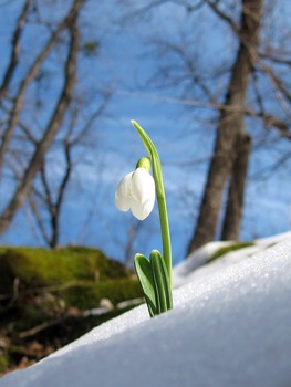 Начало марта