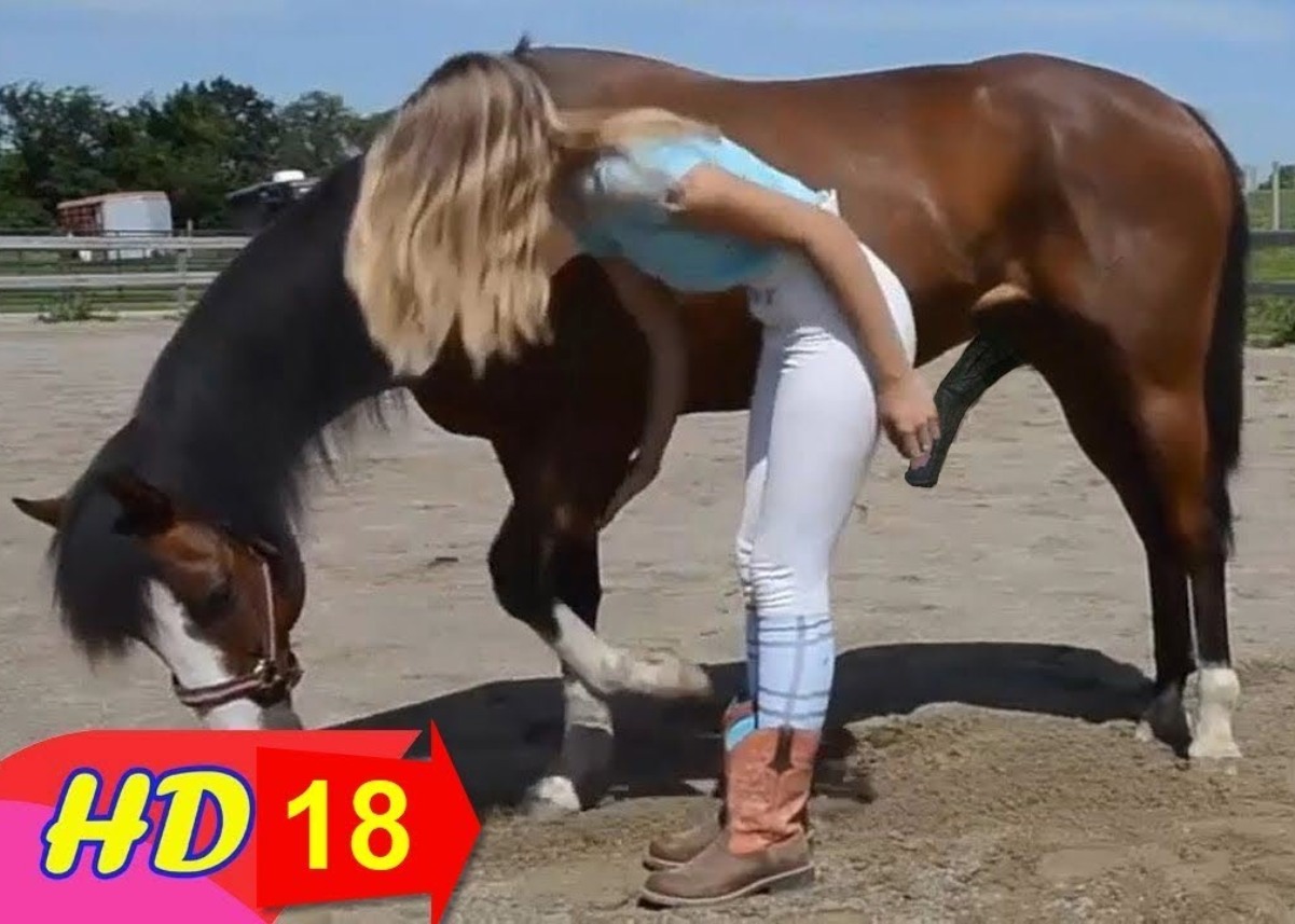 Oyuncak Manken Horse Porno Anımal Zoom