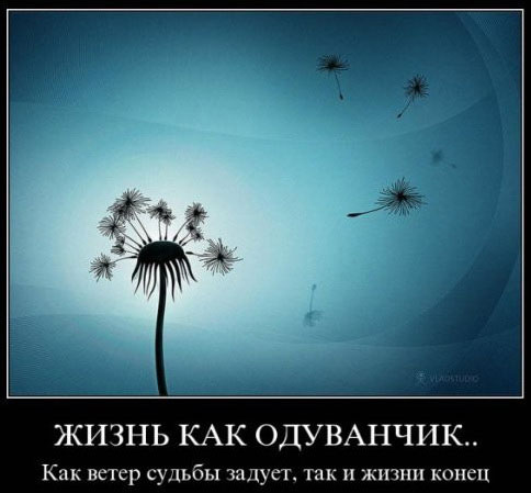 Просто скажи, как