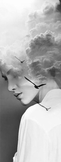 Тишина дождь