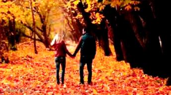 Осенний сад