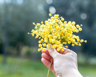 Мой женский день